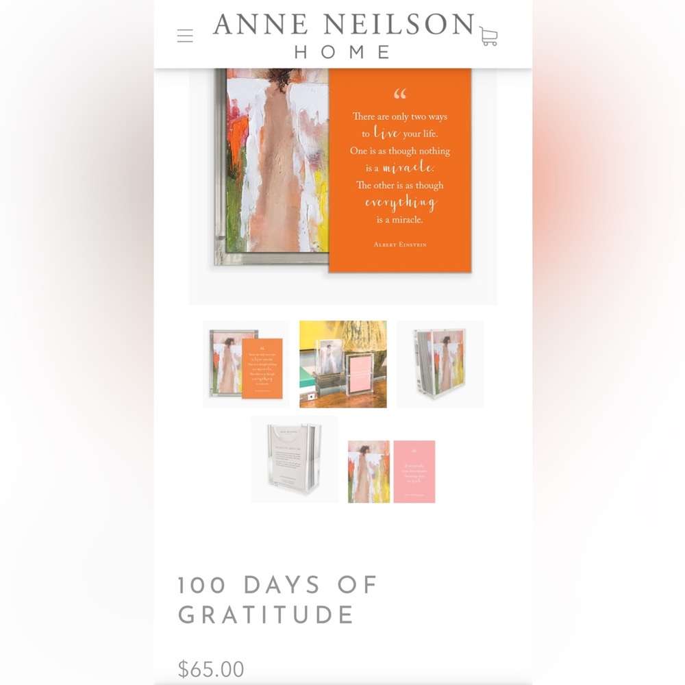 ✨LIKE NEW✨ Anne Neilson 100 Days of Gratitude